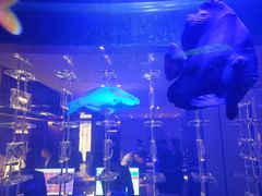 -上和臻品中国菜(花园街店)