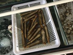 -海香园饭店