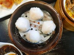 添运来虾饺皇-添运来(茶园奥园广场店)