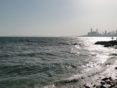 -小麦岛公园
