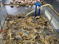 -半岛听涛蒸汽海鲜自助(K11店)
