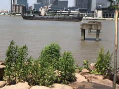 -上海山野camping·户外天幕烧烤·团建拓展营地