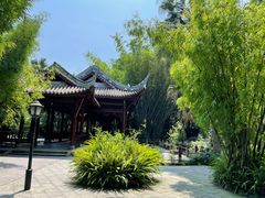 -棠湖公园