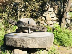 -大岭沟猕猴桃谷风景区