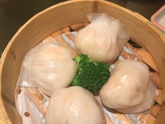 -南枝记