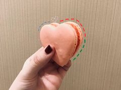 -PAUL LAFAYET 法式甜品(港汇广场店)