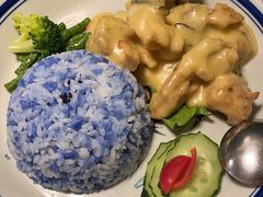 -马来MO简餐.南洋风味料理(美食街店)