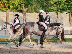 -北京群众马术培训基地