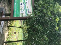 -贵阳市花溪国家城市湿地公园