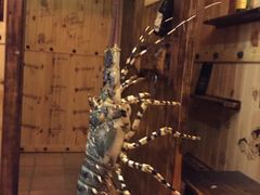 -老房子·1881海鲜餐厅