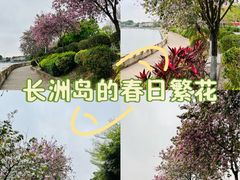 -长洲岛