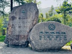 -龙水峡地缝景区