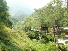 -梦幻奥陶纪景区