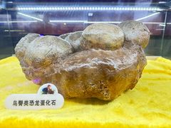 -诸城市恐龙博物馆