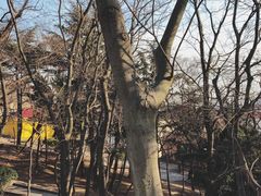 -观象山公园