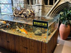 -海合安武汉极地海洋公园
