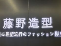 -藤野造型烫发染发