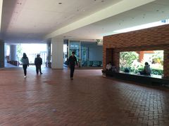 -香港大学