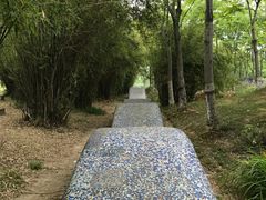 -暨阳湖生态园