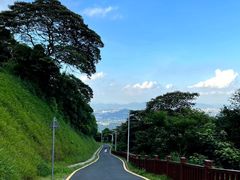 -黄埔油麻山森林公园