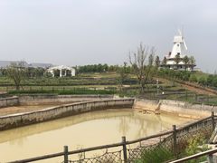 -哼哼农场