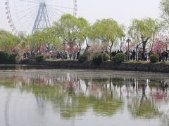 -无锡蠡湖国家湿地公园-蠡园