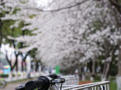 -玉山公园