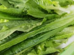 油麦菜-翡翠老鸭店