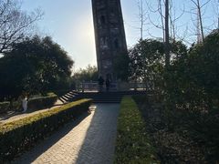 -上海佘山国家森林公园天马山园