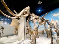 -国家自然博物馆