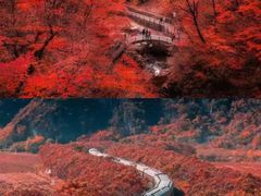 -红海滩国家风景廊道
