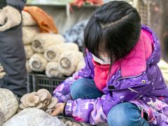 -大自然农场蔬菜草莓采摘园