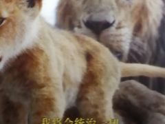 -乐天影城(威高广场店)