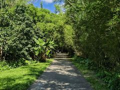 -开平碉楼文化旅游区马降龙景区