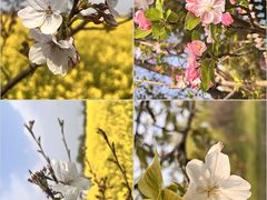 -艾山风景名胜区