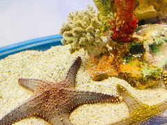 -上海海洋水族馆