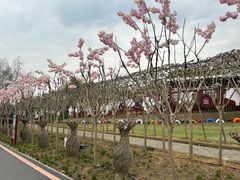 -武汉紫薇都市田园