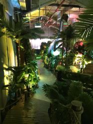 点击看大图 -恐龙探索乐园(磁器口店)