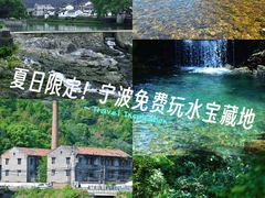 -宁波野生动物园