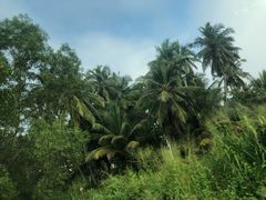 -班达拉奈克国际机场