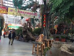 iphone_upload_pic-丝绸之路山地度假区滑雪场