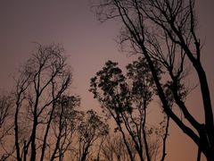 -白鹭湾湿地公园