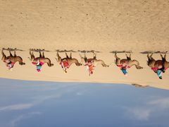 玉龙沙湖-玉龙沙湖景区