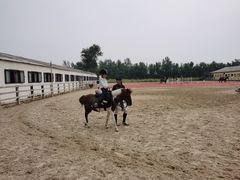 -北京群众马术培训基地