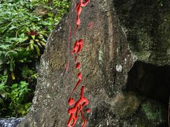 -海口火山口国家地质公园