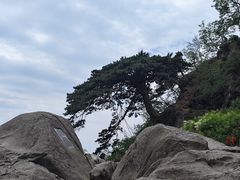 -泰山风景名胜区