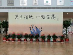 -盐城丹顶鹤湿地生态旅游区