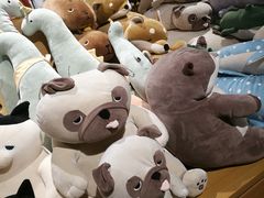 -九木杂物社(恒隆广场店)