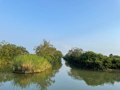 -大湾区中央湿地公园