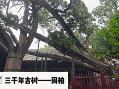 -晋祠公园